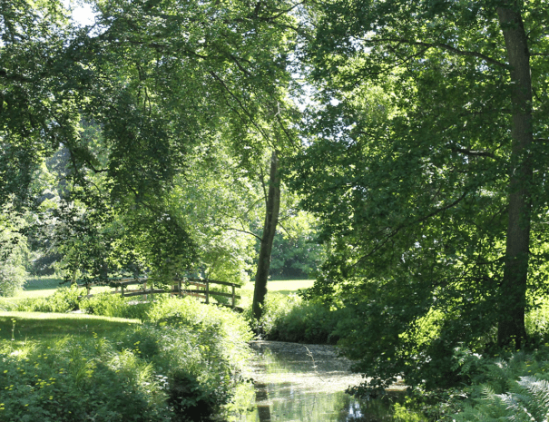 Natur_1200x1080
